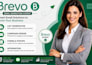design brevo campaign design brevo list generation brevo forms and integration